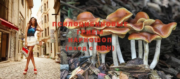 мяу мяу мука Армянск