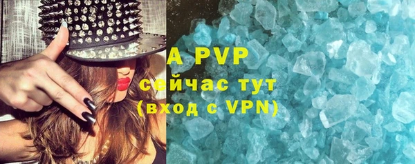 гидра Арсеньев