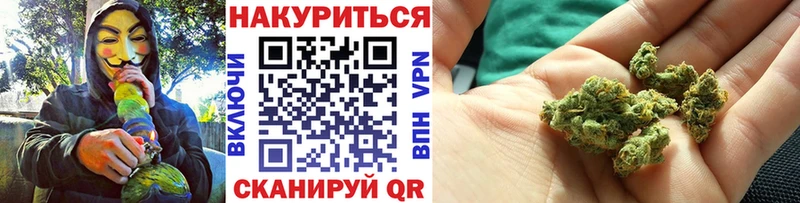 Каннабис OG Kush  Кондрово 